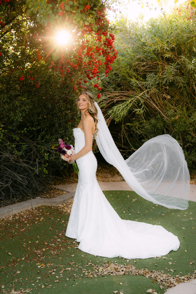 Wedding Veil Detail Photo